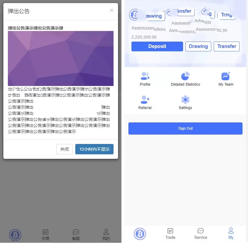 A2059双语言版虚拟币投资系统USDT充值