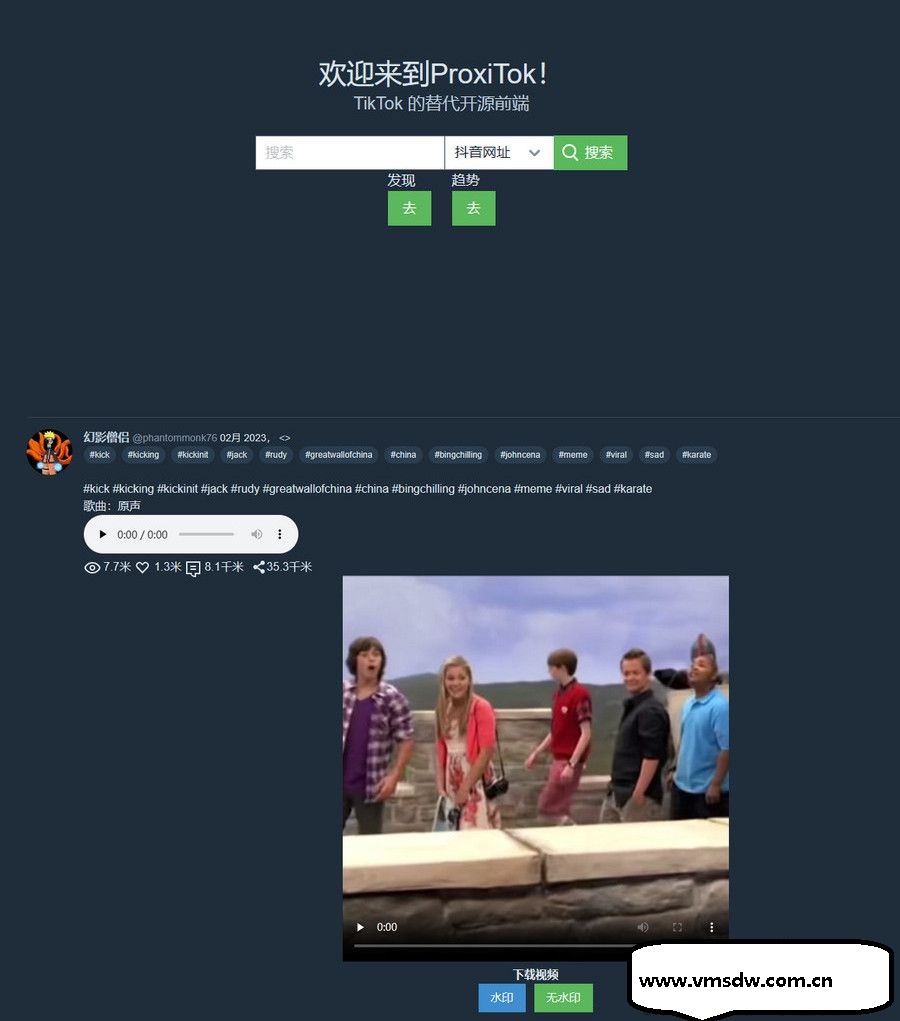 ProxiTok国际版抖音 TikTok网页版源码下载 支持国内网络直连